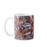 Aeonium Zwartkop succulent mug
