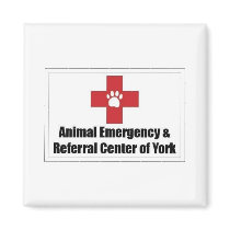 AERC Magnet