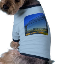 Aerial Lift Bridge Pet Clothing