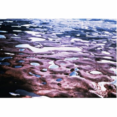 Aerial View of Prairie Potholes Photo Cutouts by animalpark