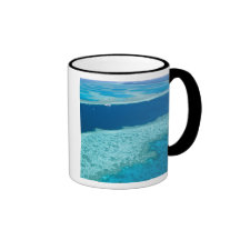 Aerial view of The Great Barrier Reef by the Coffee Mug