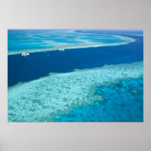 Aerial view of The Great Barrier Reef by the Print