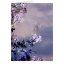 Aerial's Gift Greeting Card