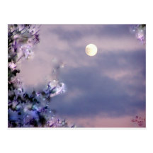 Aerial's Gift Post Cards