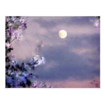 Aerial's Gift Postcards