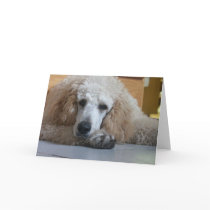 Aero-1 Greeting Cards