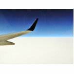 Aeroplane In The Sky photo sculptures