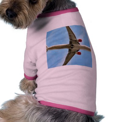 Aeroplane On Sky Close Up Dog T-shirt by lifesphere