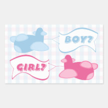 Aeroplanes and Banners Gender Reveal Party Sticker