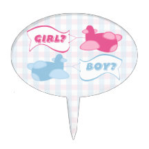 Aeroplanes and Banners Gingham Gender Reveal Party