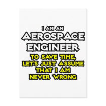 Aerospace Engineer...Assume I Am Never Wrong