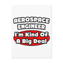 Aerospace Engineer...Big Deal