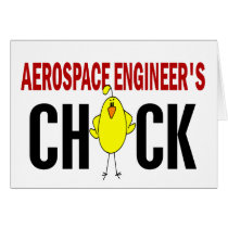 Aerospace Engineer’s Chick