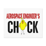 Aerospace Engineer’s Chick