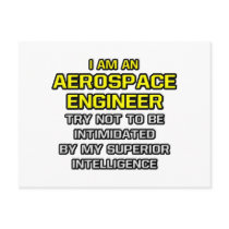 Aerospace Engineer...Superior Intelligence