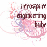 Aerospace Engineering Babe Photo Cut Outs