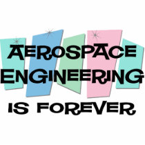 Aerospace Engineering Is Forever Photo Sculptures
