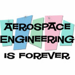 Aerospace Engineering Is Forever photo sculptures