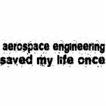 Aerospace Engineering Saved My Life Once photo sculptures