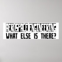 Aerospace Engineering What Else Is There? Poster