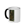 Aesop, 1640 mugs