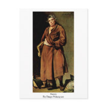 Aesop By Diego Velazquez Postcards