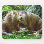 Affectionate Lions Mouse Pad