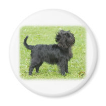 Affenpinscher 9R095D-092 Refrigerator Magnet