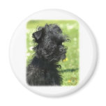 Affenpinscher 9Y007D-120 Magnet