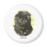 Affenpinscher 9Y410D-014 Fridge Magnets