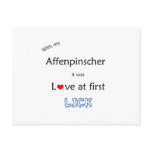 Affenpinscher Lick Design postcards