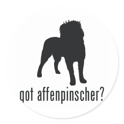 Affenpinscher Sticker by GotWhat