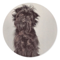 Affenpinscher Stickers
