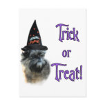 Affenpinscher Trick Postcard