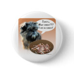 Affenpinscher Turkey