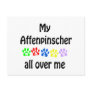 Affenpinscher Walks Design Postcards