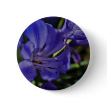 Affirmations & A New World Pinback Button