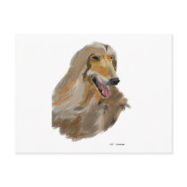 Afgan Hound Post Card