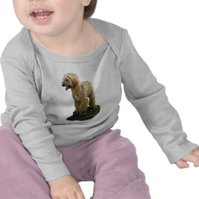 Afghan Baby T-Shirt by kphotos