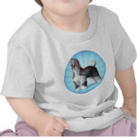 Afghan Hound