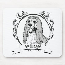 AFGHAN HOUND (2)