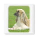 Afghan Hound 9B033D-22 Refrigerator Magnet