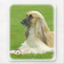 Afghan Hound 9B033D-22 Mouse Pads