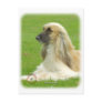 Afghan Hound 9B033D-22 Post Cards