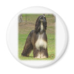 Afghan Hound 9J030D-08 Fridge Magnets