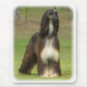 Afghan Hound 9J030D-08 mousepads