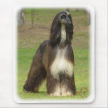 Afghan Hound 9J030D-08 mousepads