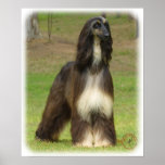 Afghan Hound 9J030D-08 Print