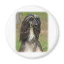 Afghan Hound 9J31D-06 Magnets