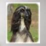 Afghan Hound 9J31D-06 Poster